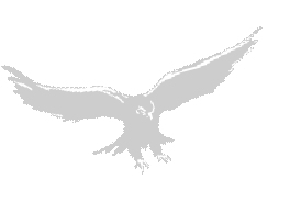 Hudson High &amp; St. Mary&#039;s Academy Class of 1968 Reunion